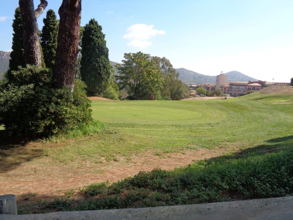golf 1