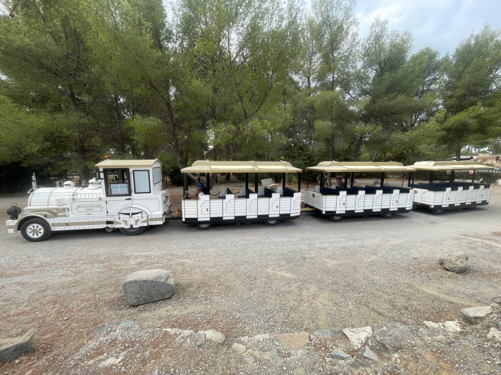petit train